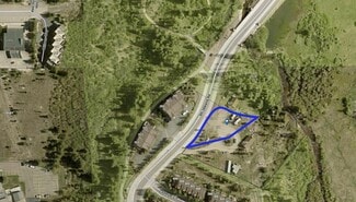 Plus de détails pour 171 Ski Idlewild Rd, Winter Park, CO - Terrain à vendre