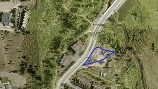 Plus de détails pour 171 Ski Idlewild Rd, Winter Park, CO - Terrain à vendre