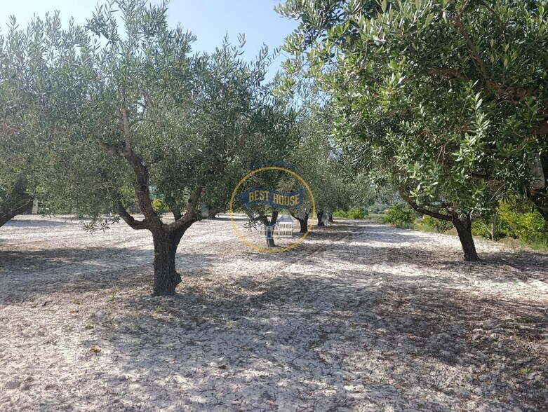 Terrain dans Ontinyent, Valencia à vendre - Photo de l’immeuble – Image 2 sur 12