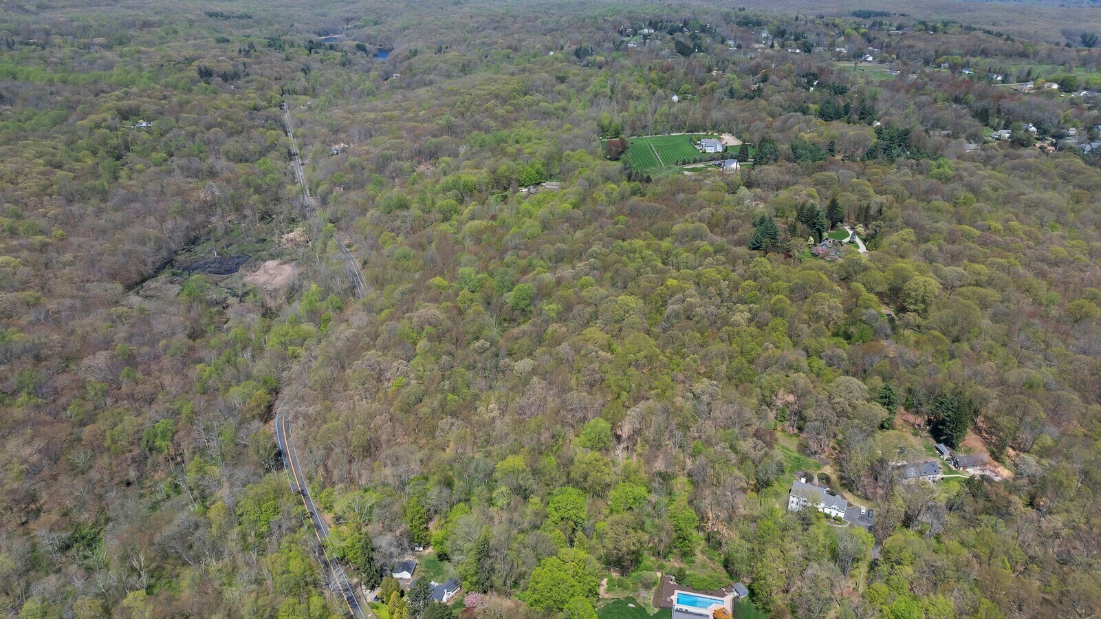 View Photo