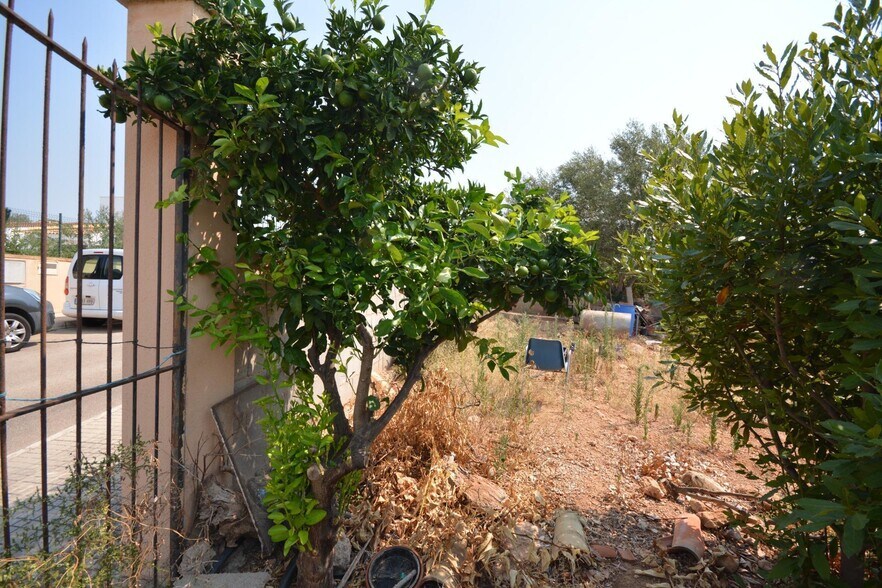 Terrain dans Marratxí, Islas Baleares à vendre - Photo de l’immeuble – Image 3 sur 18