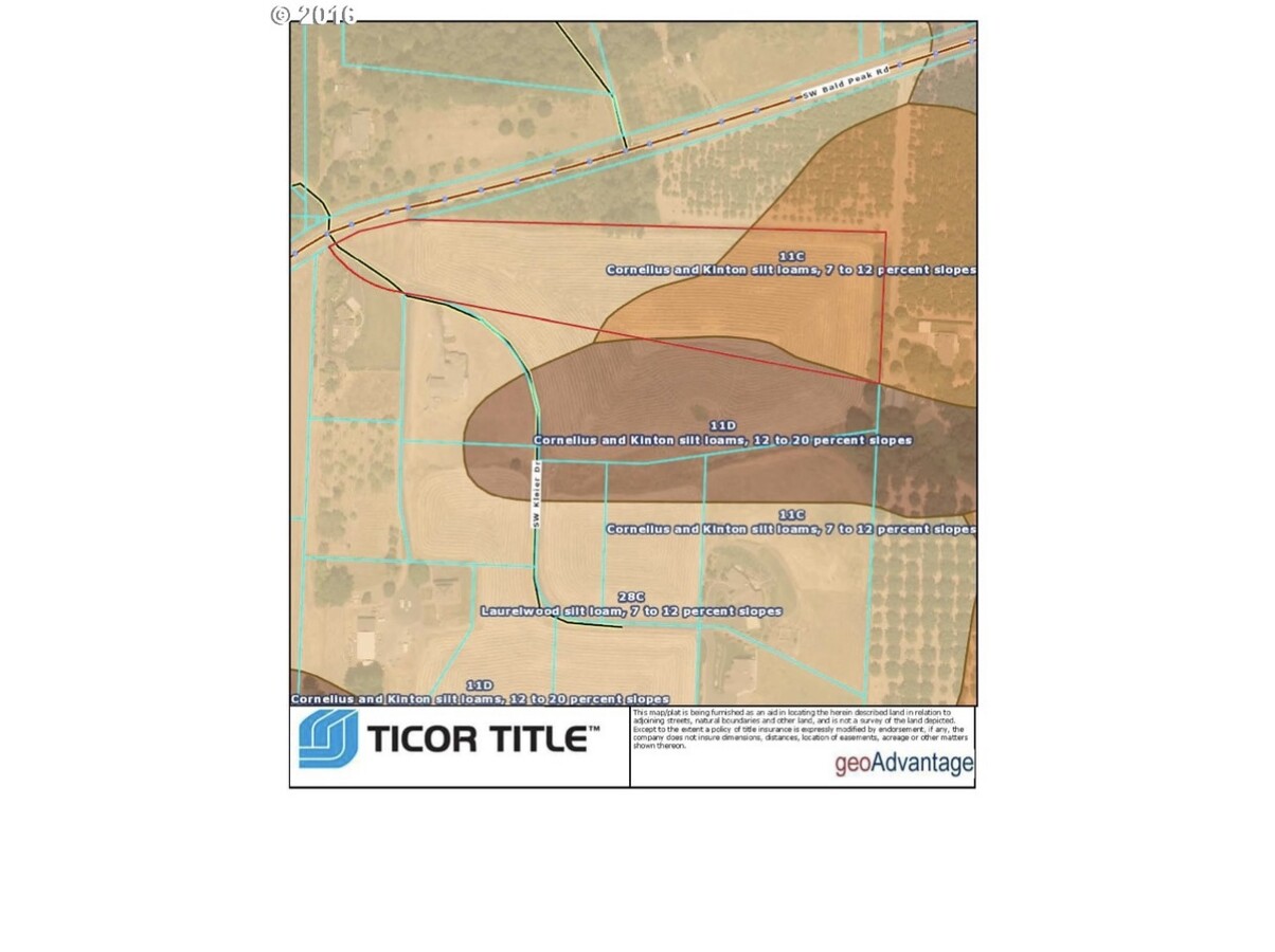 Plan de site