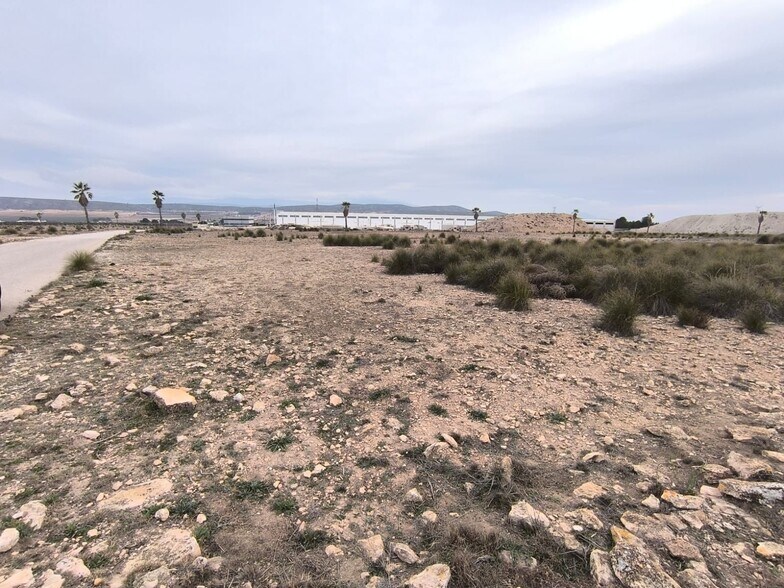 Terrain dans MURCIA à vendre - Photo principale – Image 1 sur 8