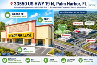 Plus de détails pour 33550 US Highway 19 N, Palm Harbor, FL - Local commercial à louer