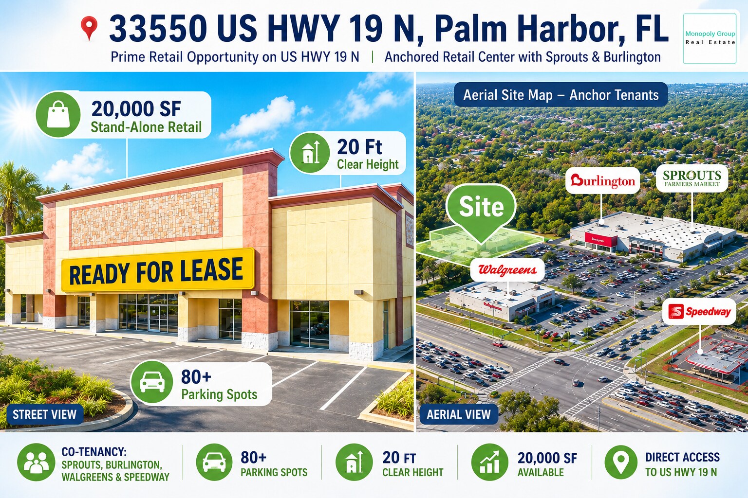 33550 US Highway 19 N, Palm Harbor, FL à louer Photo de l’immeuble– Image 1 sur 34