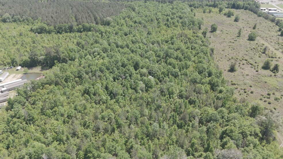 Highway 190, Walker, LA à vendre - Vidéo sur l’annonce professionnelle – Image 2 sur 16