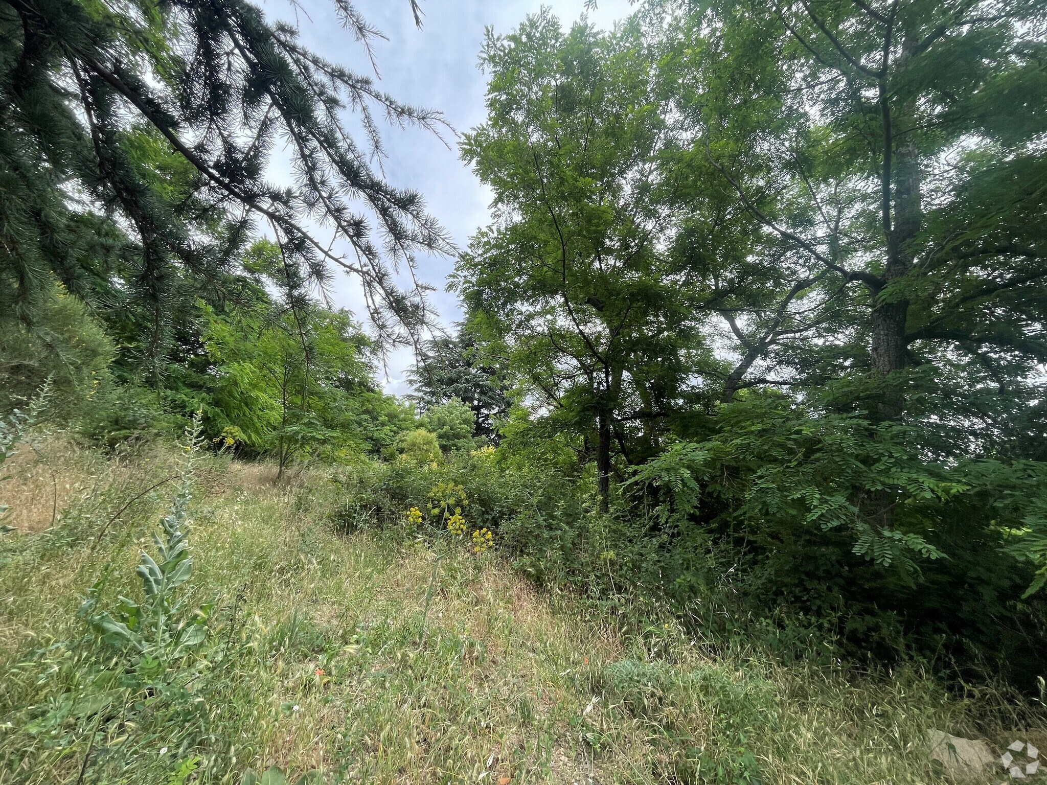 Terrain dans Guadarrama, Madrid à vendre Photo principale– Image 1 sur 5