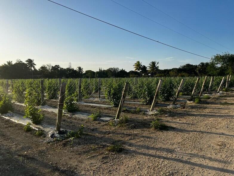 35300 212th ave, Homestead, FL à louer - Photo de l’immeuble – Image 2 sur 5