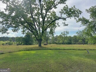 Plus de détails pour 0 Scuppernong Dr, Helena, GA - Terrain à vendre