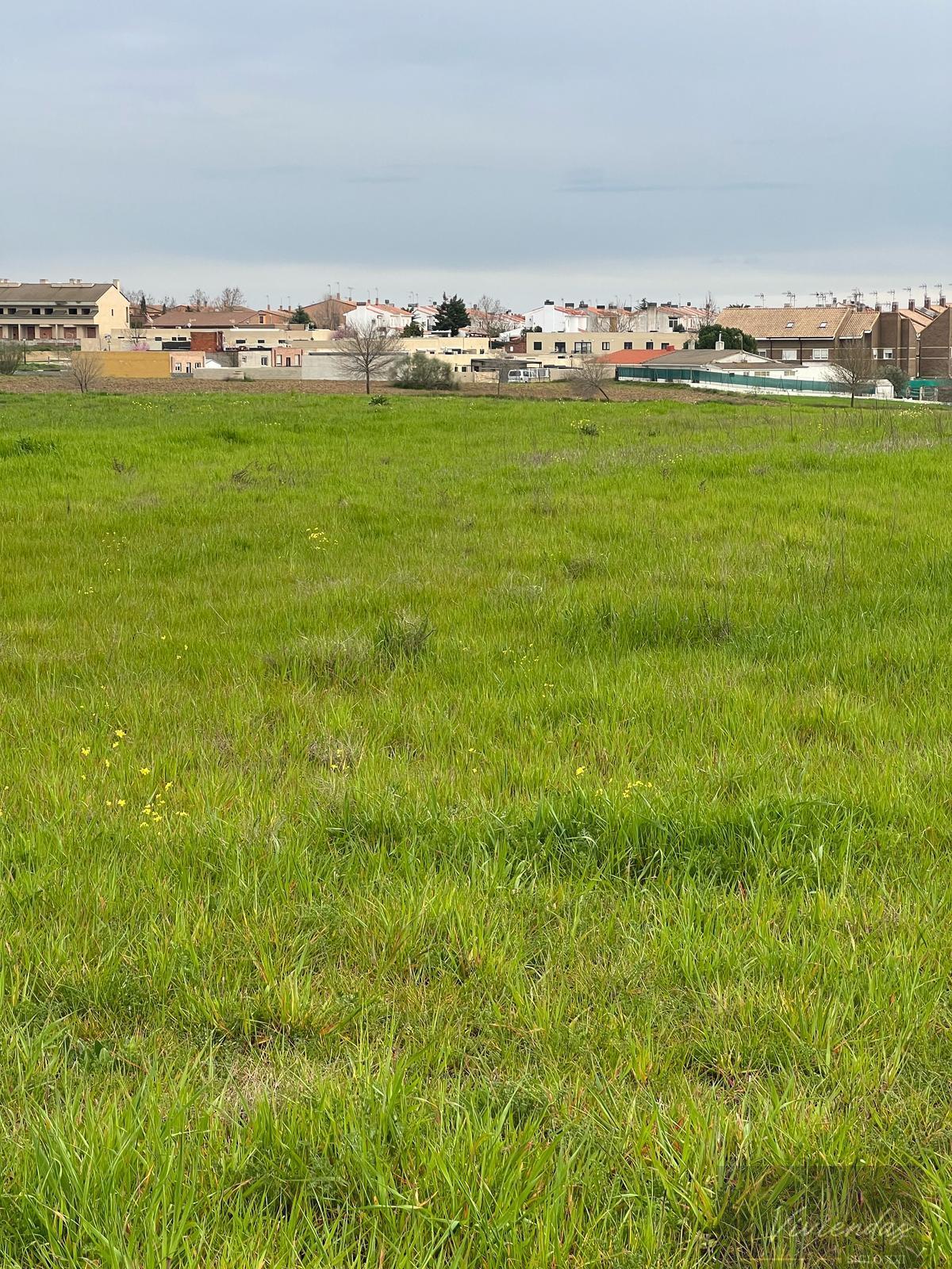 Terrain dans El Viso de San Juan, Toledo à vendre Autre– Image 1 sur 6