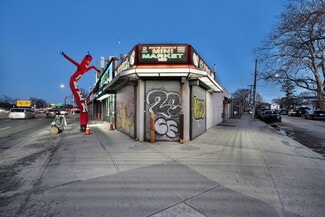 Plus de détails pour 230-02 S Conduit Ave, Jamaica, NY - Local commercial à vendre