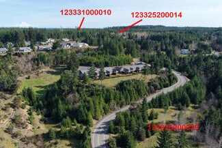 Plus de détails pour 0 Romance Hill Rd, Belfair, WA - Terrain à vendre