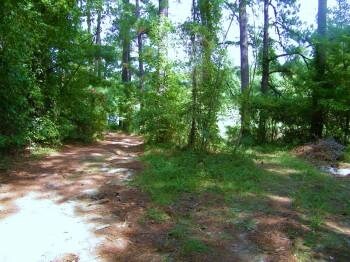 350 Cromer Rd, Lexington, SC à vendre - Autre – Image 2 sur 8