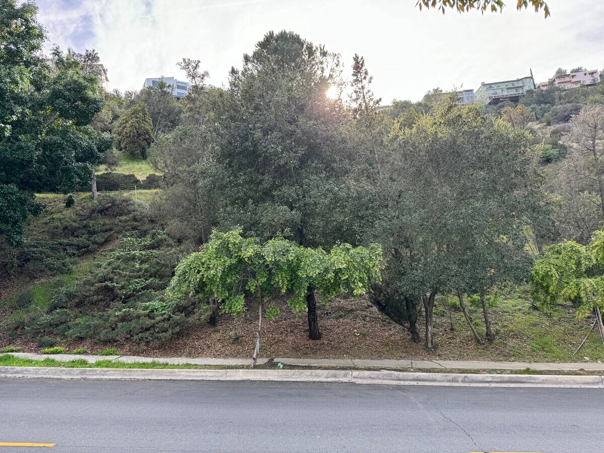 View Photo