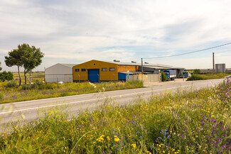 Plus de détails pour Calle los Sauces, 1, Torrejón de Velasco - Industriel/Logistique à louer