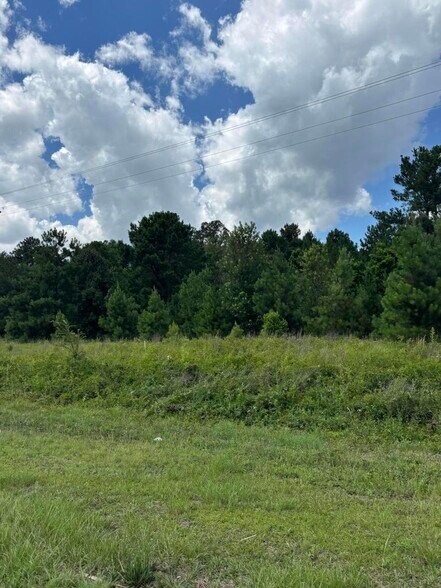 4315 Thomas Sumter hwy, Dalzell, SC à vendre - Photo principale – Image 1 sur 1