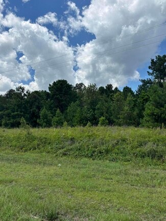 Plus de détails pour 4315 Thomas Sumter hwy, Dalzell, SC - Terrain à vendre