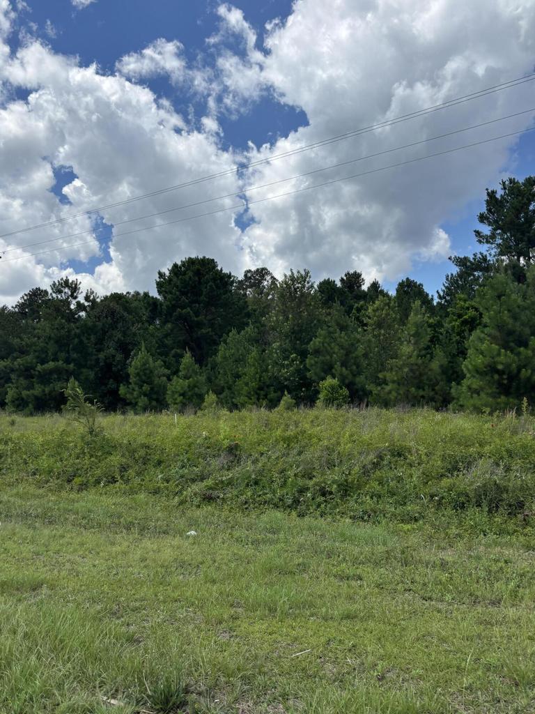 4315 Thomas Sumter hwy, Dalzell, SC à vendre Photo principale– Image 1 sur 2