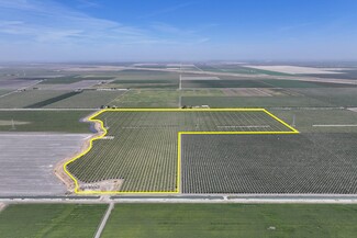 Plus de détails pour W. Dinuba avenue, San Joaquin, CA - Terrain à vendre