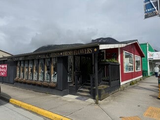 Plus de détails pour 307 N Nordic Dr, Petersburg, AK - Local commercial à vendre