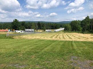 Plus de détails pour 269 Stone Schoolhouse Rd, Bloomingburg, NY - Terrain à louer