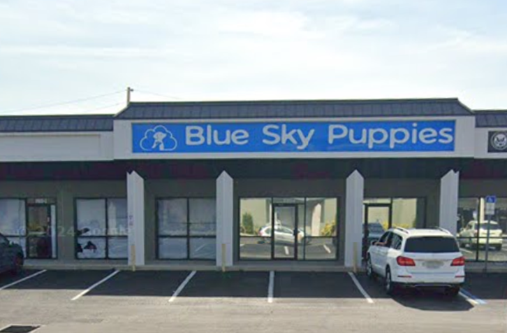 6160 Ulmerton Rd, Clearwater, FL à louer Photo de l’immeuble– Image 1 sur 6