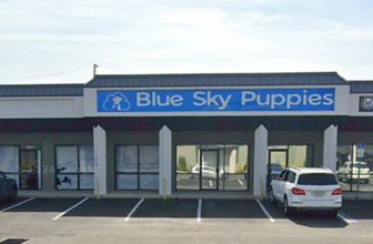 6160 Ulmerton Rd, Clearwater, FL à louer Photo de l’immeuble– Image 1 sur 6