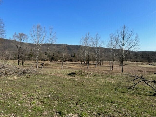 296 Poplar Neck Rd, Birdsboro, PA à louer - Photo de l’immeuble – Image 2 sur 8