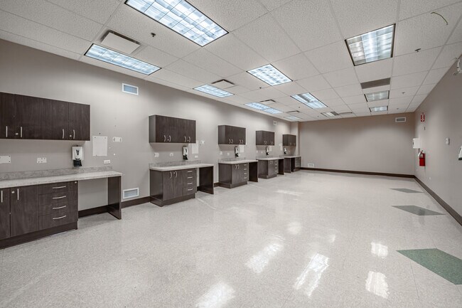 Plus de détails pour 8741 S Greenwood Ave, Chicago, IL - Bureau, Bureau/Médical à louer