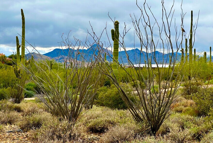 7XXX Highland Road Rd, Cave Creek, AZ à vendre - Photo principale – Image 1 sur 18