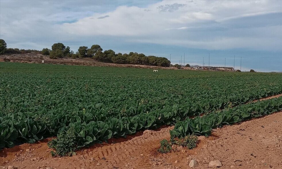 Calle Pp Granados, 5 R, Murcia, Murcia à vendre - Photo de l’immeuble – Image 3 sur 12