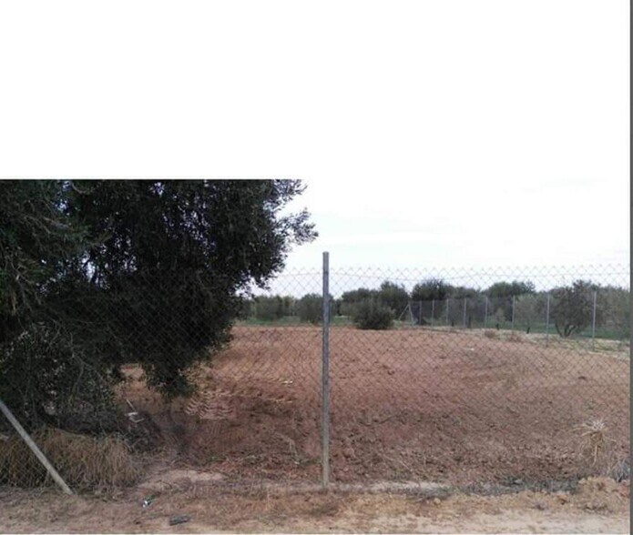 Terrain dans Marchena, Sevilla à vendre - Plan de site – Image 2 sur 5