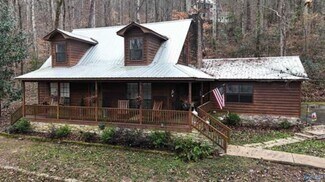 Plus de détails pour 3414 Wyeth Drive Dr, Guntersville, AL - Spécialisé à vendre
