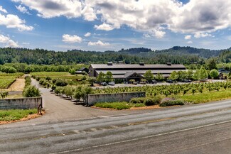 Plus de détails pour 1280-1290 Dry Creek Rd, Healdsburg, CA - Spécialisé à vendre