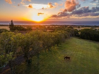 Plus de détails pour 56-2864 Akone Pule Hwy, Hawi, HI - Terrain à vendre