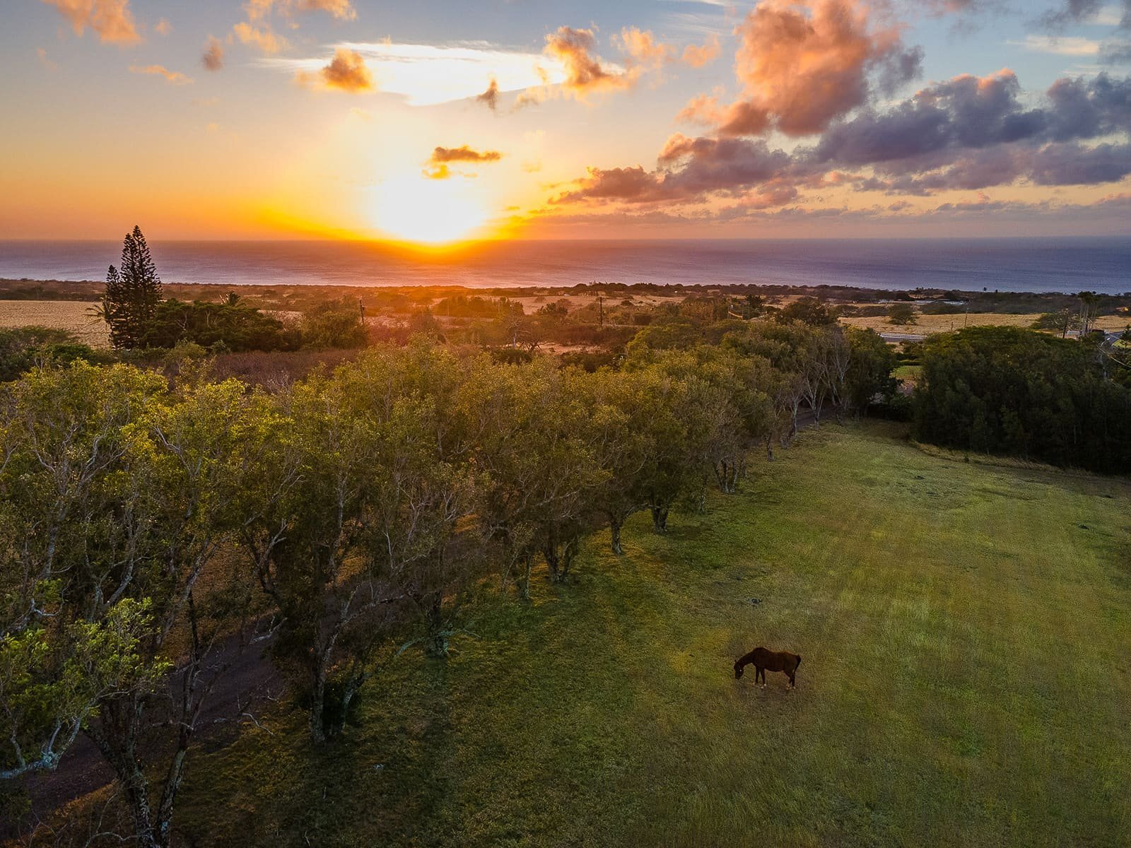 56-2864 Akone Pule Hwy, Hawi, HI à vendre Photo principale– Image 1 sur 11