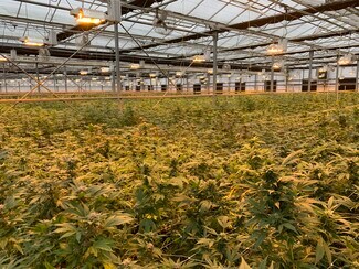 Plus de détails pour 26800 Encinal Rd, Salinas, CA - Industriel/Logistique à louer