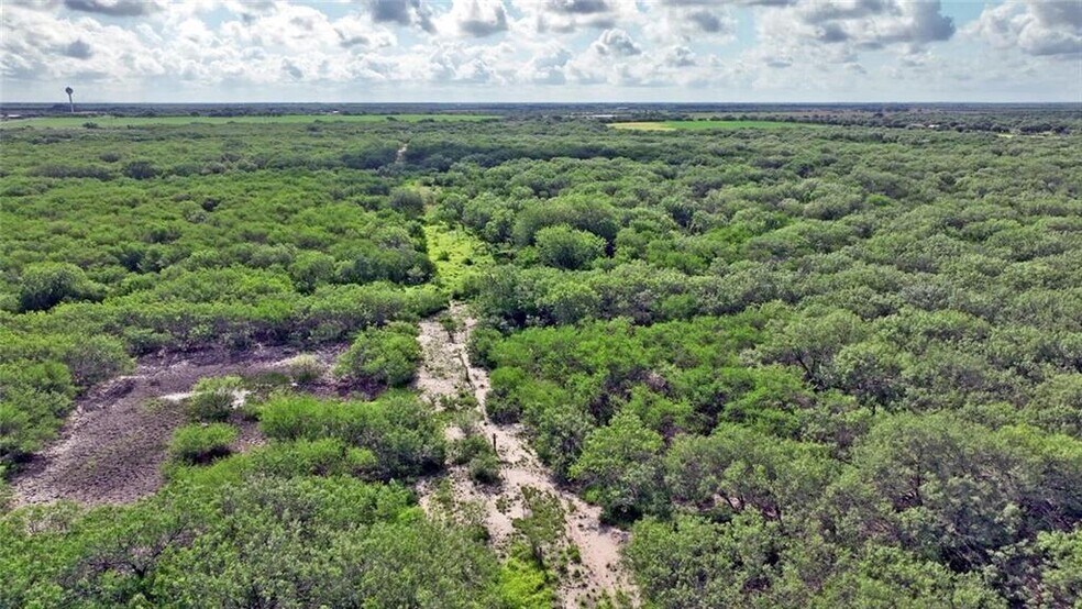 CR 2170, Ricardo, TX à vendre - Photo de l’immeuble – Image 2 sur 6