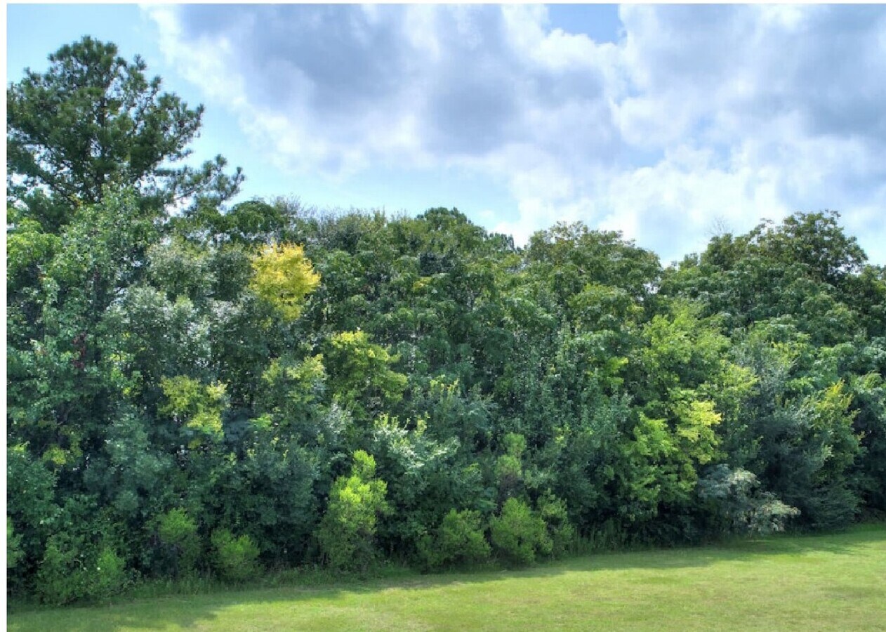 View Photo