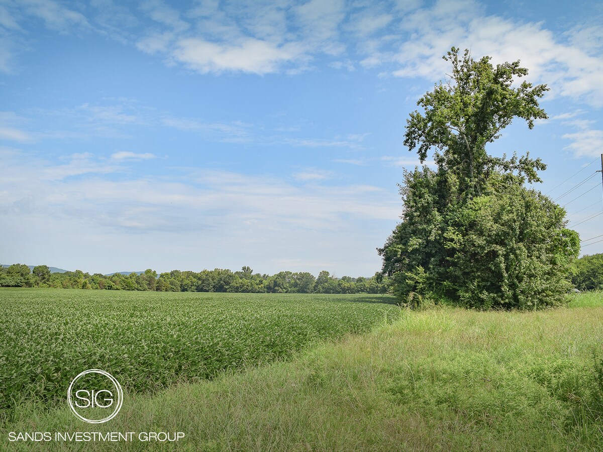 Wilson Mann Rd and 431 S - Owens Cross Roads hwy, Owens Cross Roads, AL à vendre Photo principale– Image 1 sur 5