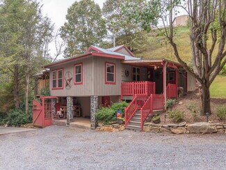 Plus de détails pour 3834 & 3838 Panther Creek Rd. – Spécialisé à vendre, Clyde, NC