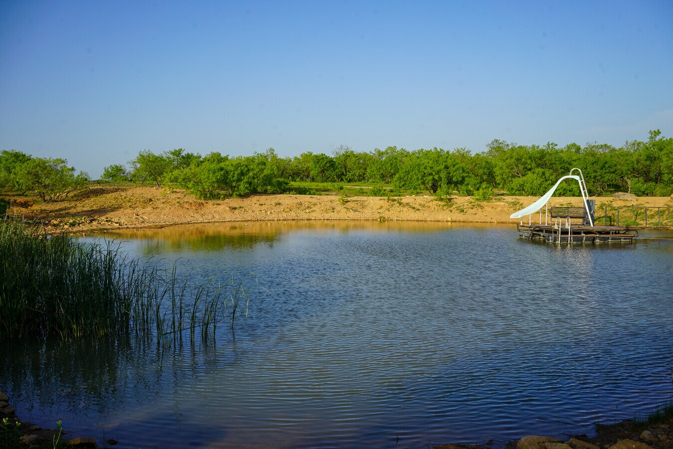 View Photo