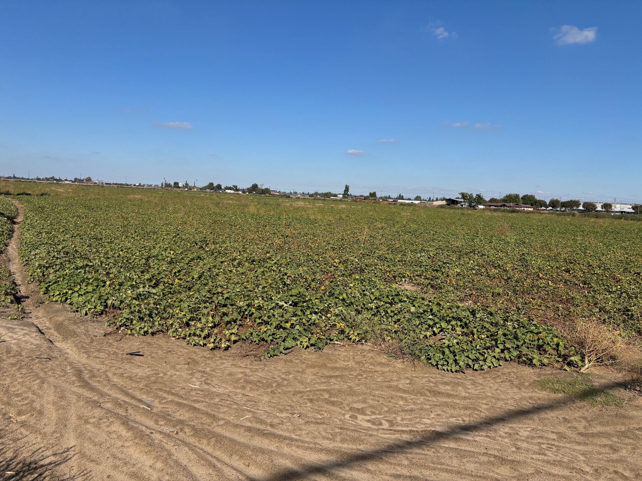 3131 W Main St, Turlock, CA à vendre Autre– Image 1 sur 2