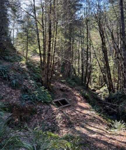Highway 199, Crescent City, CA à vendre - Autre – Image 2 sur 21