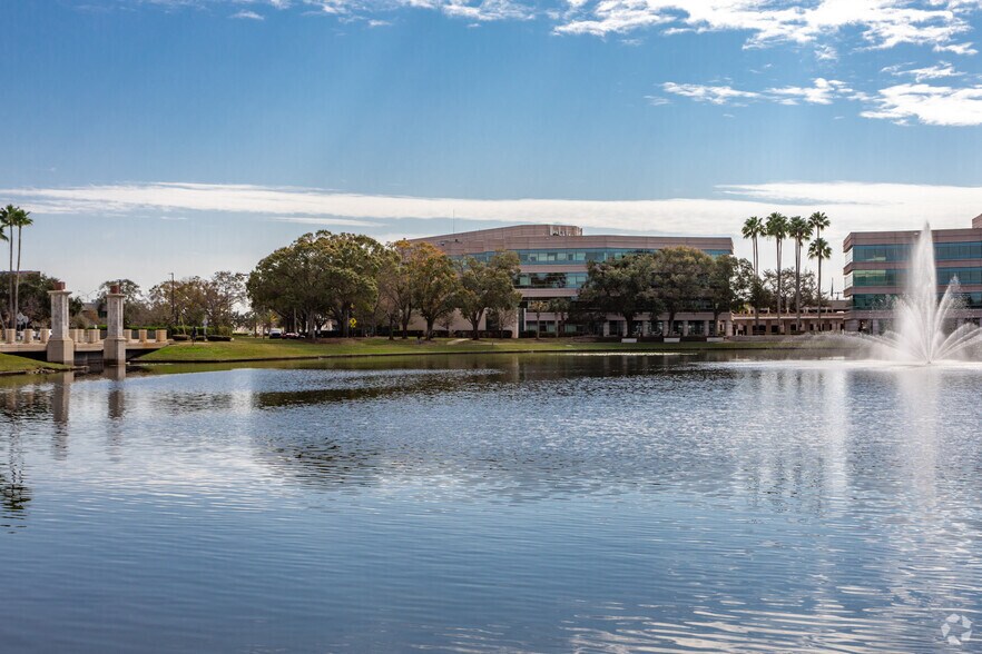 4915 Independence Pkwy, Tampa, FL à louer - Photo principale – Image 1 sur 16