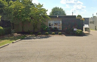 Plus de détails pour 309 S Chapel St, Louisville, OH - Bureau à vendre