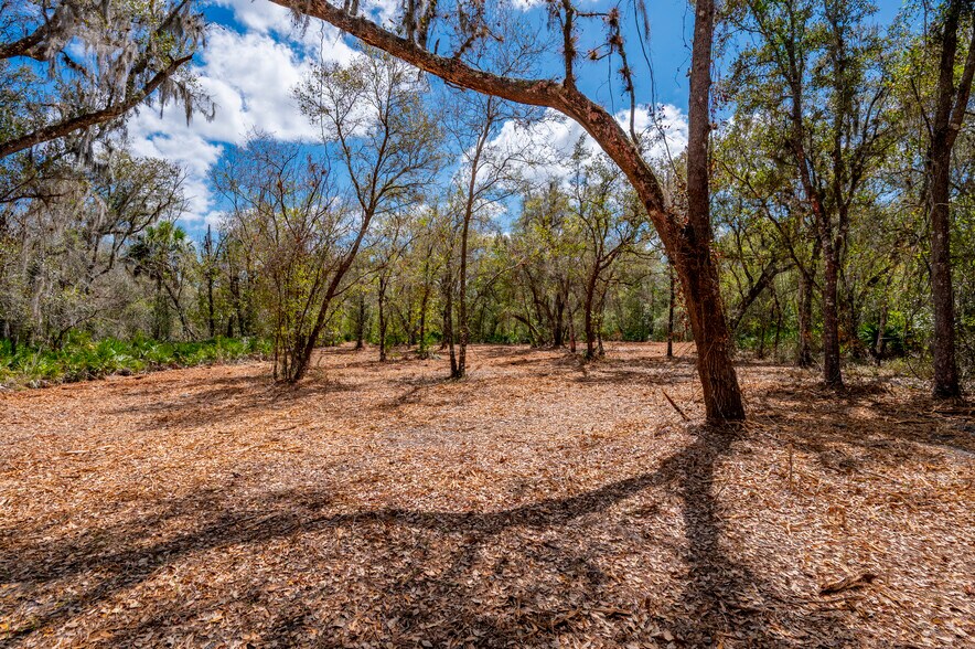 SE 31 #30 hwy, Arcadia, FL à vendre - Photo de l’immeuble – Image 3 sur 7