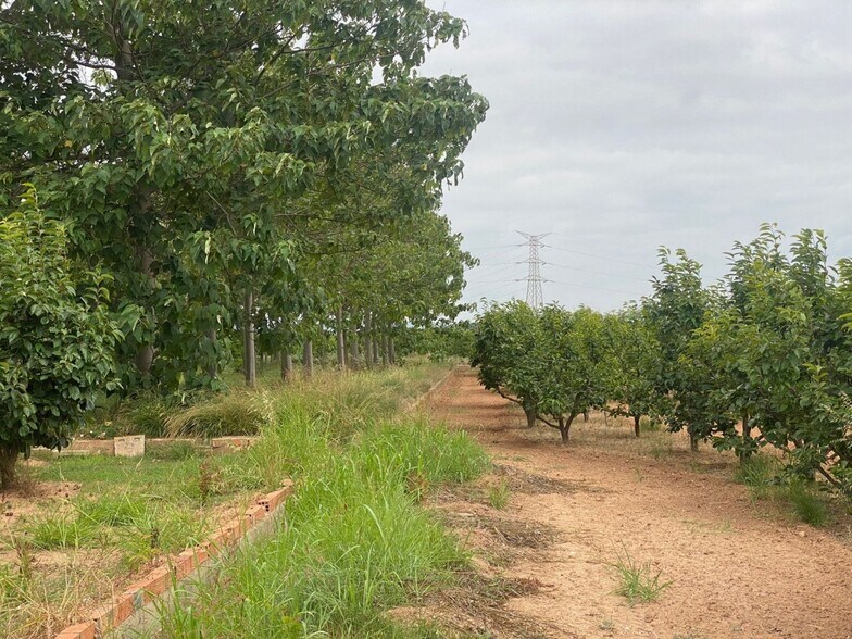 Mataburres, Carlet, Alrededores, Carlet, Valencia à vendre - Photo principale – Image 3 sur 10