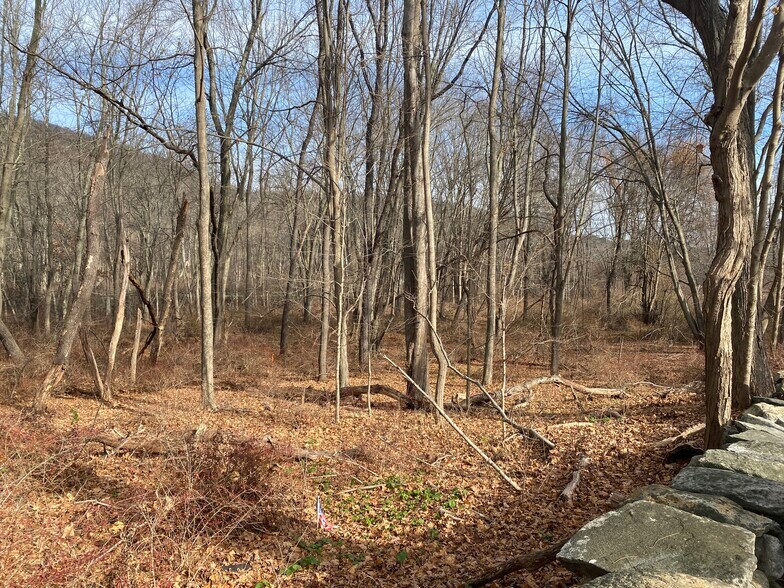 3918 Danbury, Brewster Village, NY à vendre - Photo de l’immeuble – Image 1 sur 20