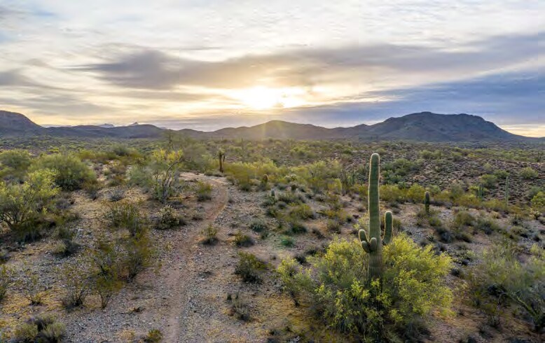 Blue Tank Rd, Wickenburg, AZ à vendre - Autre – Image 3 sur 4